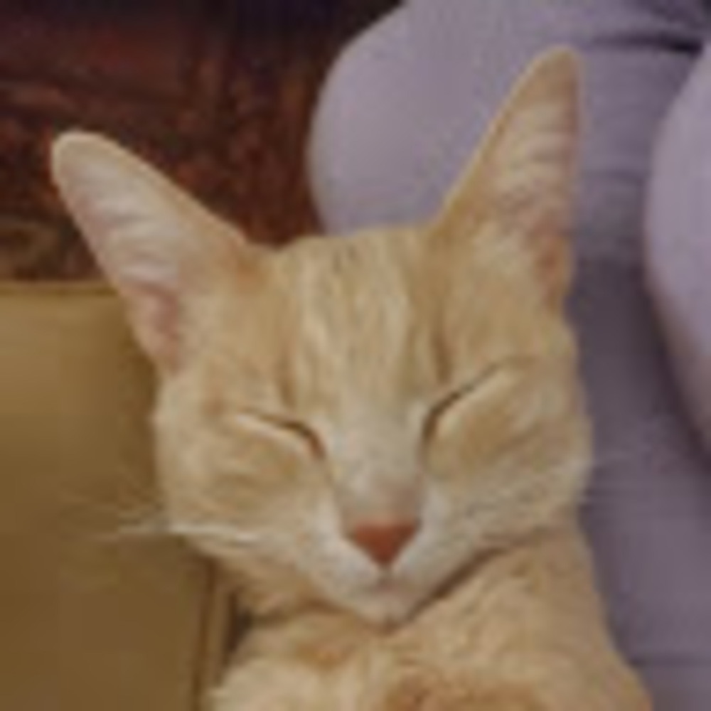 Meet your Posher, Hanna